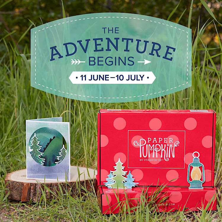 This is a photo advertising the July Paper Pumpkin Kit called the Adventure Begins.  It includes an example card with trees and some embellishments of trees and a lantern.
